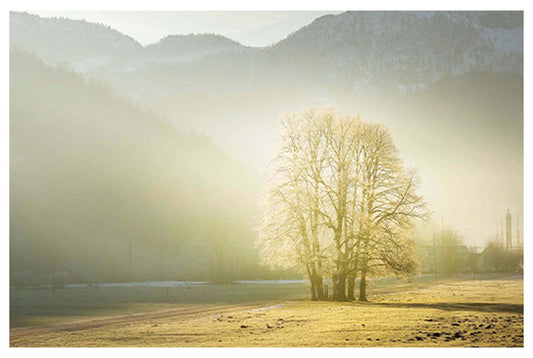 Sunny Valley Poster - Hakyarts