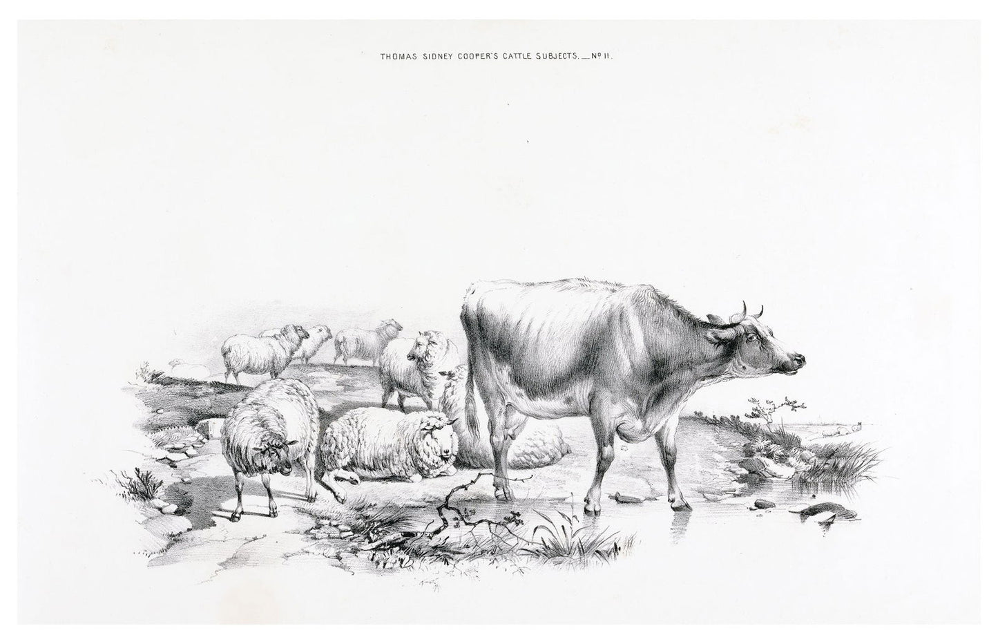 Thomas Sidney Cooper - Thomas Sydney Cooper’s cattle subjects Pl.11 Poster - Hakyarts