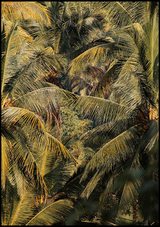 Tropical Feel Poster - Hakyarts