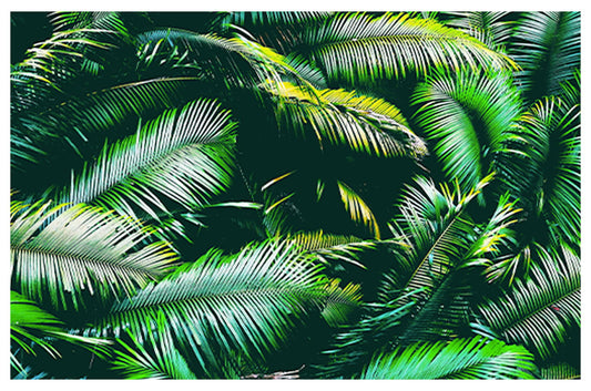 Tropical Jungle Poster - Hakyarts