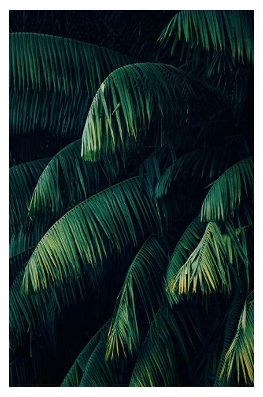 Tropical Lush Poster - Hakyarts