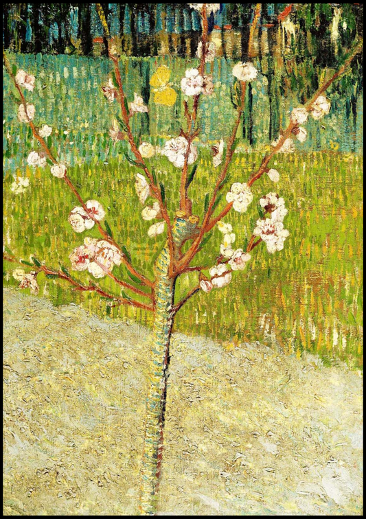 Vincent Van Gogh - Almond Tree in Blossom - Hakyarts