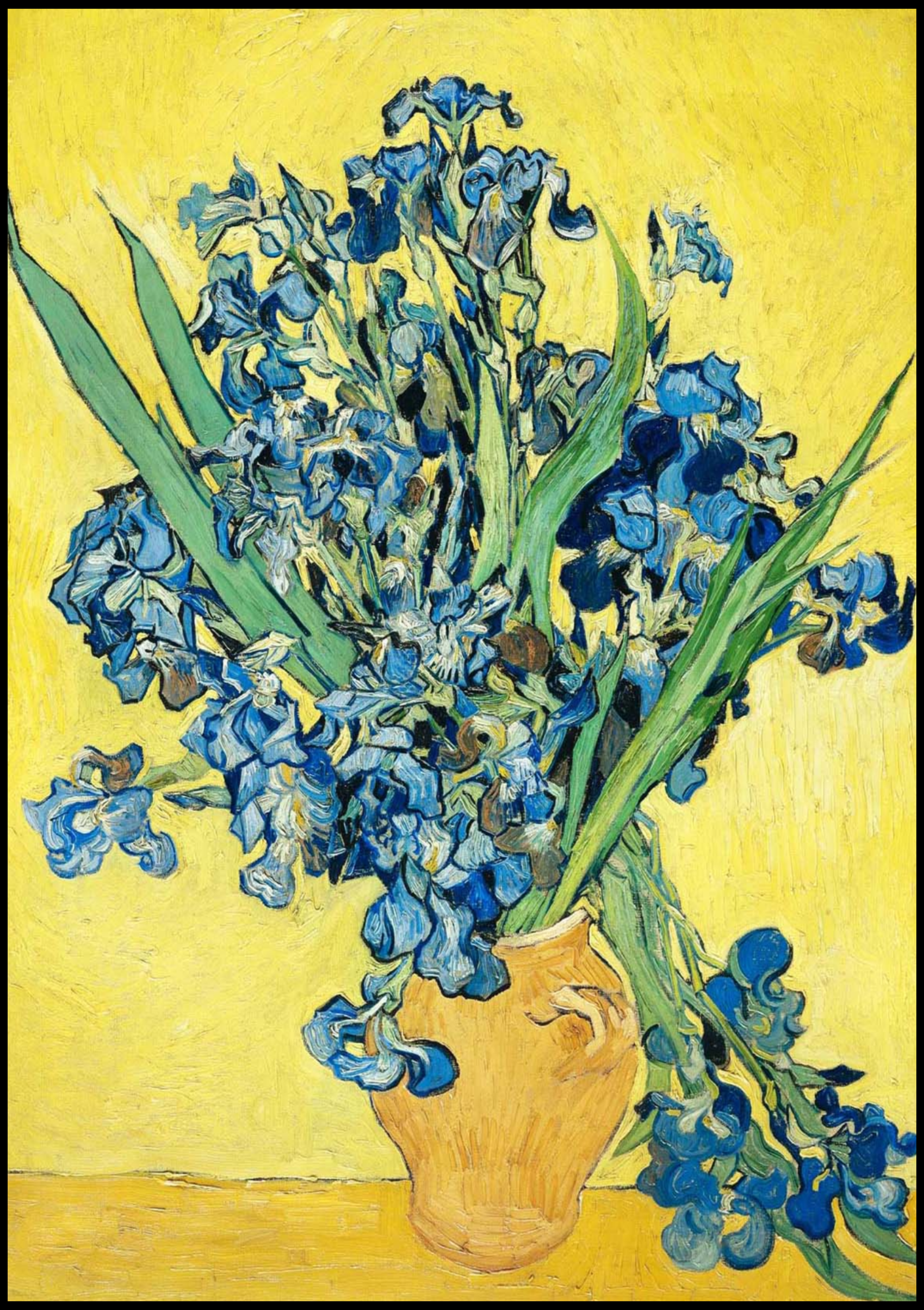 Vincent Van Gogh - Irises - Hakyarts