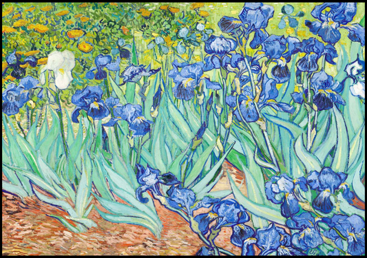 Vincent Van Gogh - Irises - Hakyarts