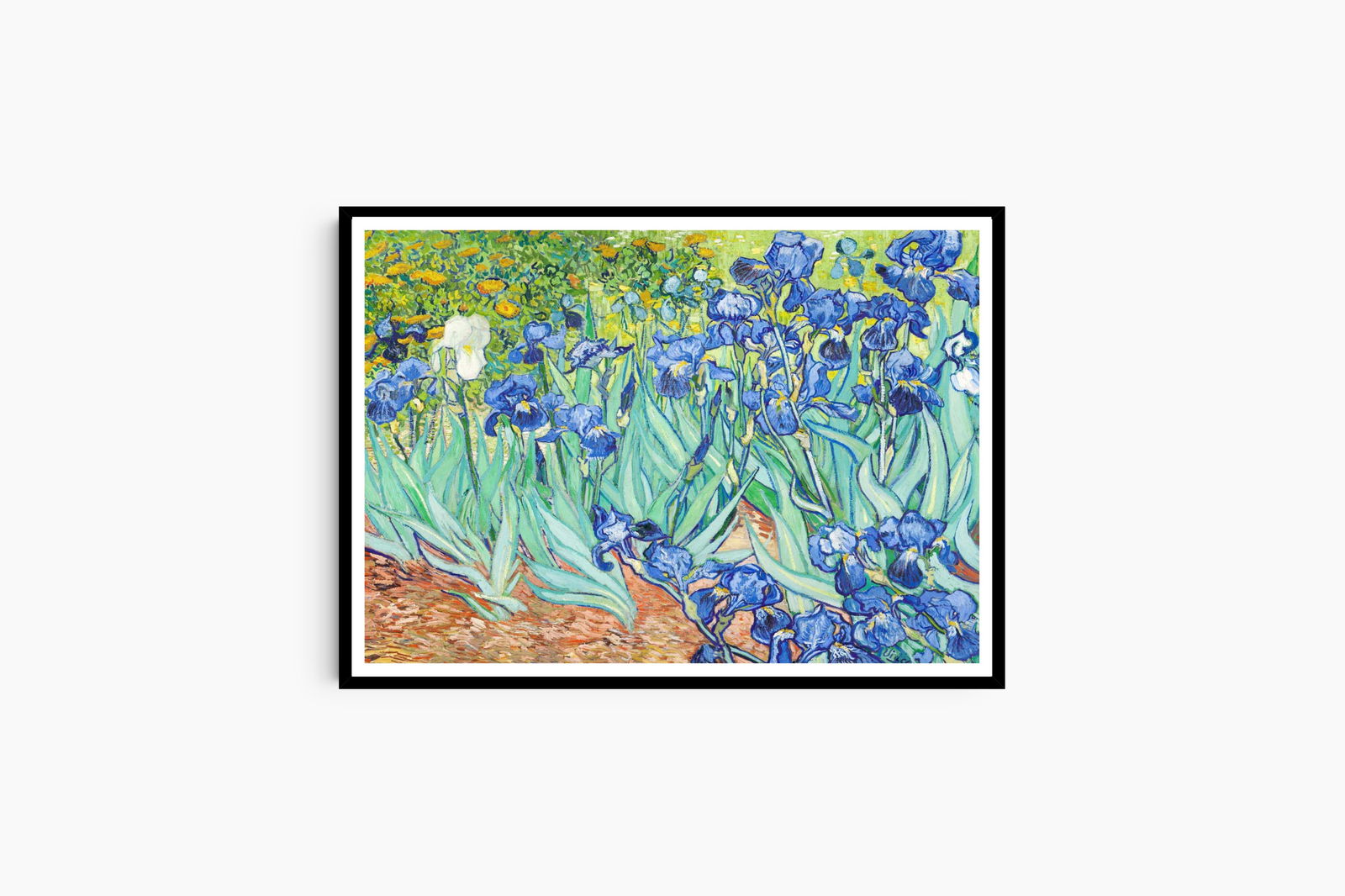 Vincent Van Gogh - Irises - Hakyarts