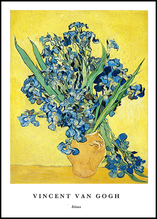 Vincent Van Gogh - Irises Poster - Hakyarts