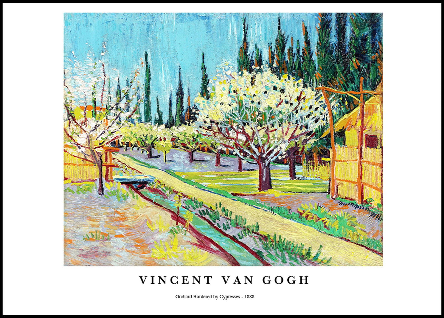 Vincent Van Gogh - Orchard Bordered by Cypresses Poster - Hakyarts