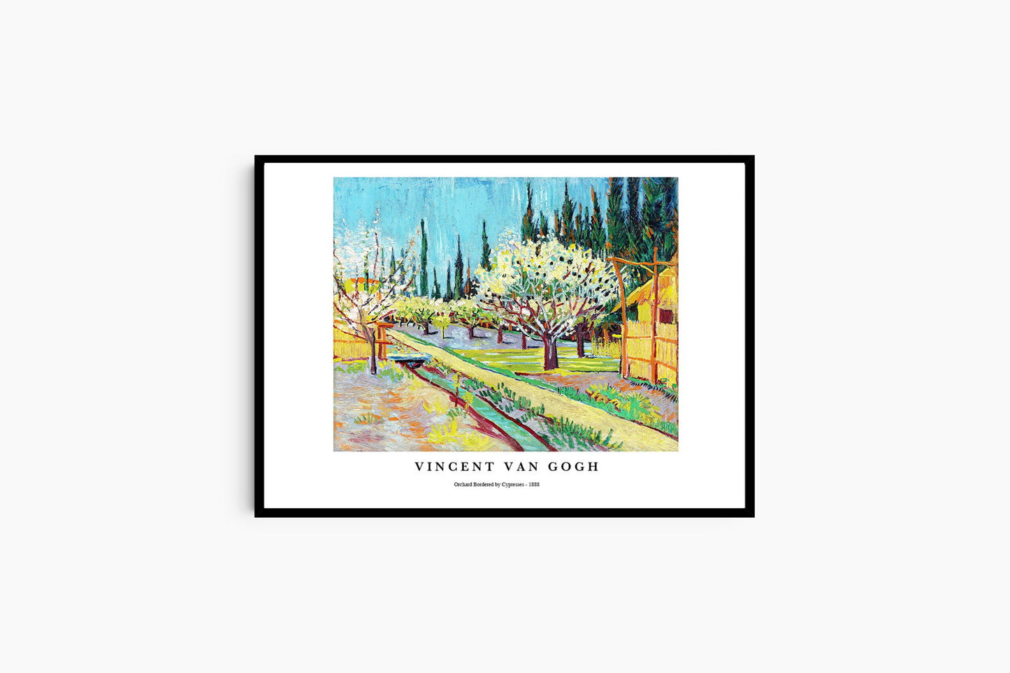 Vincent Van Gogh - Orchard Bordered by Cypresses Poster - Hakyarts