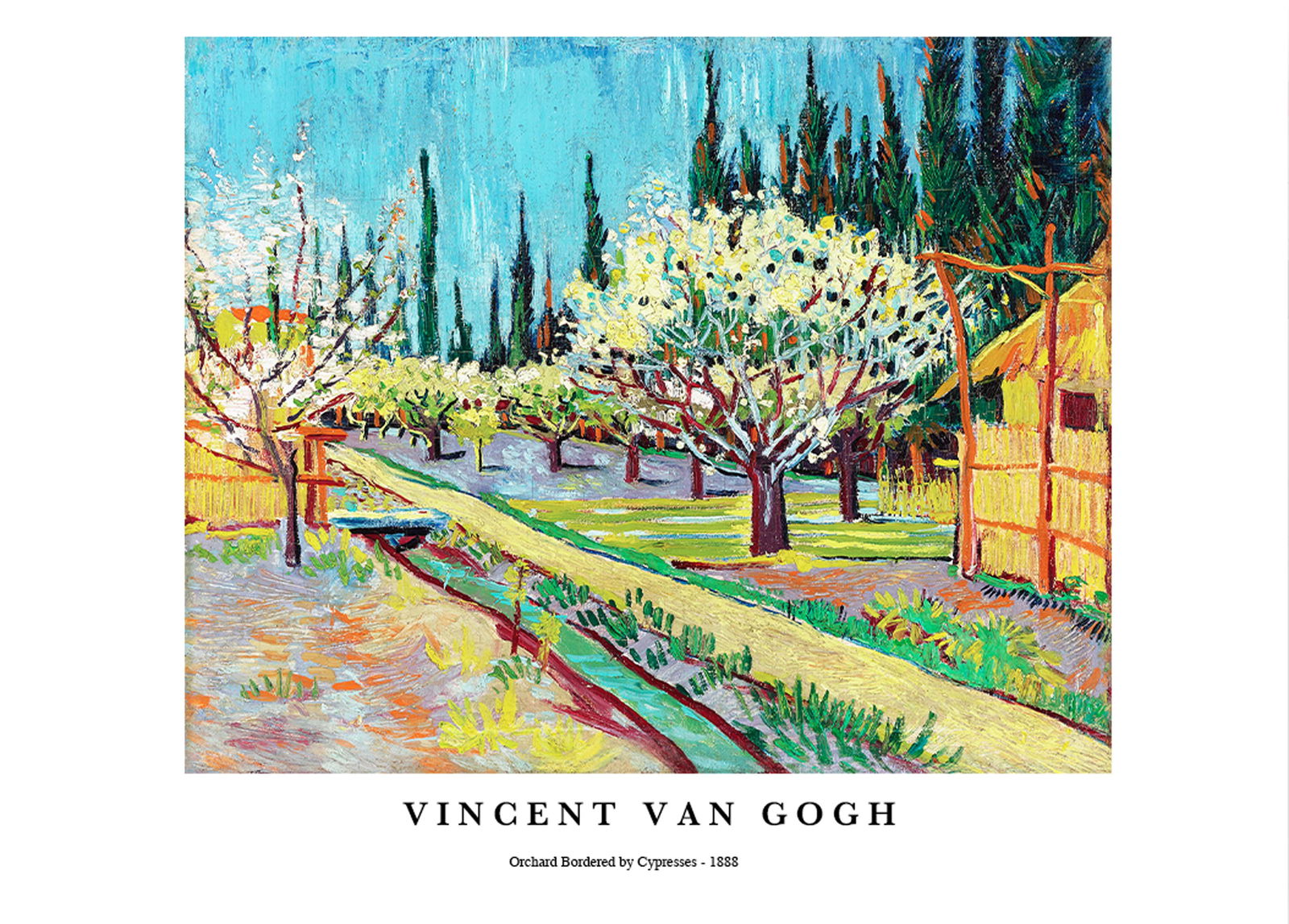 Vincent Van Gogh - Orchard Bordered by Cypresses Poster - Hakyarts