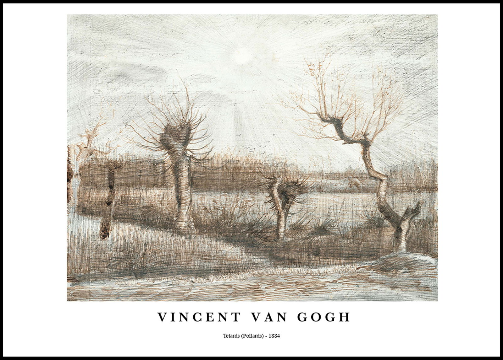 Vincent Van Gogh - Tetards Poster - Hakyarts