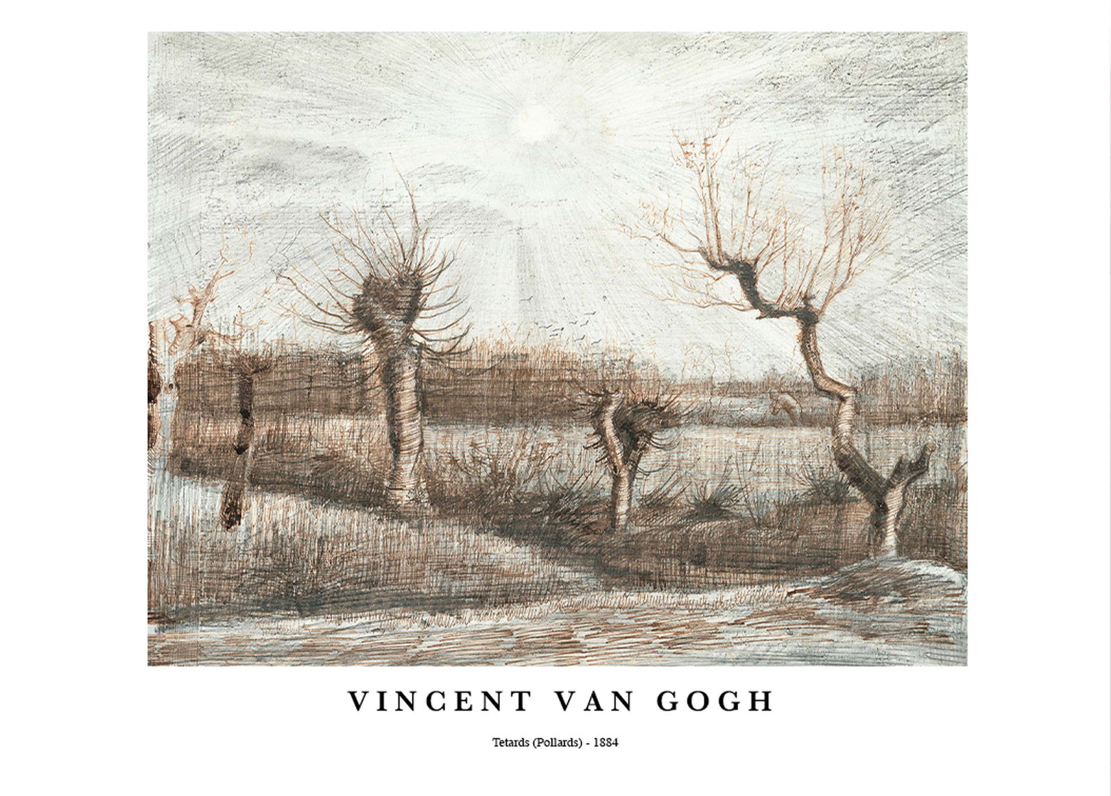 Vincent Van Gogh - Tetards Poster - Hakyarts