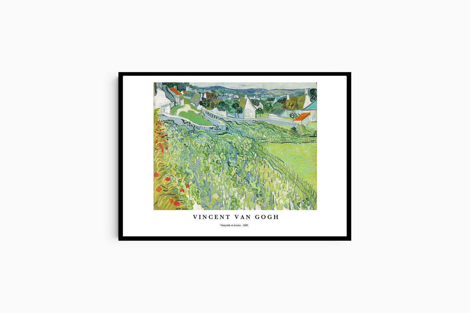 Vincent Van Gogh - Vineyards at Auvers Poster - Hakyarts