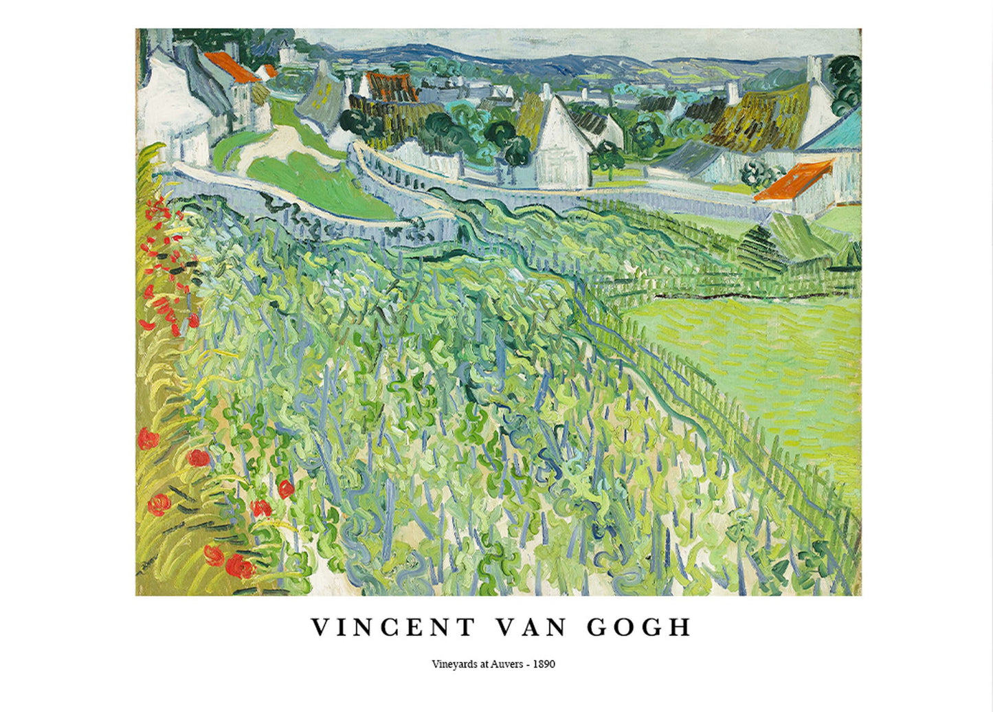 Vincent Van Gogh - Vineyards at Auvers Poster - Hakyarts