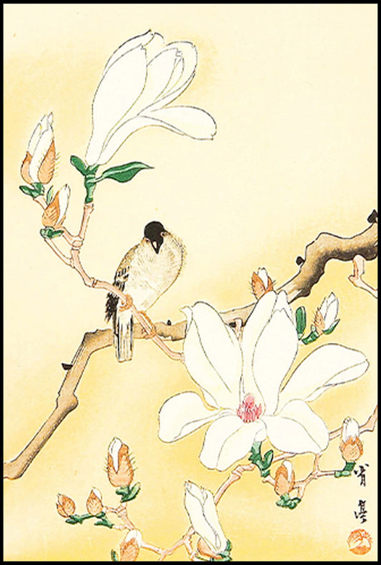 Watanabee Seitei - Bird on Magnolia - Hakyarts