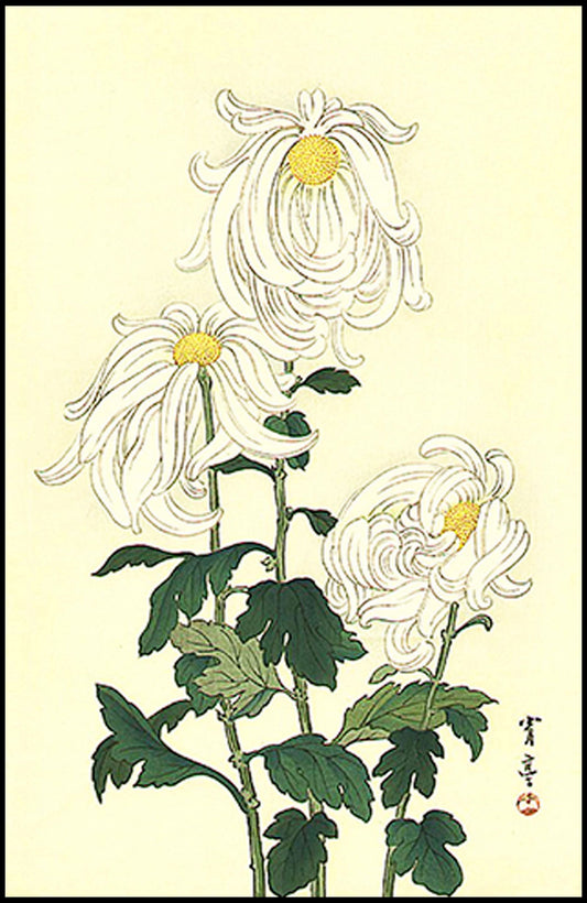 Watanabee Seitei - White Chrysanthemums - Hakyarts