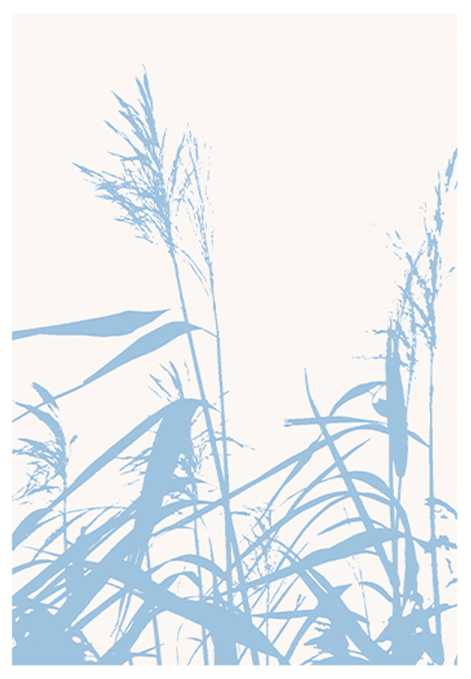 Water Grass Poster - Hakyarts