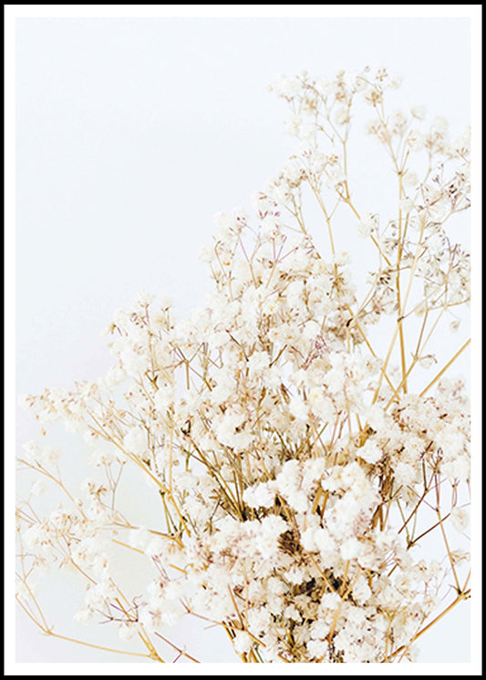 White Floral Design Poster - Hakyarts