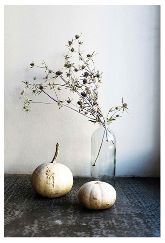 White Pumpkins Poster - Hakyarts