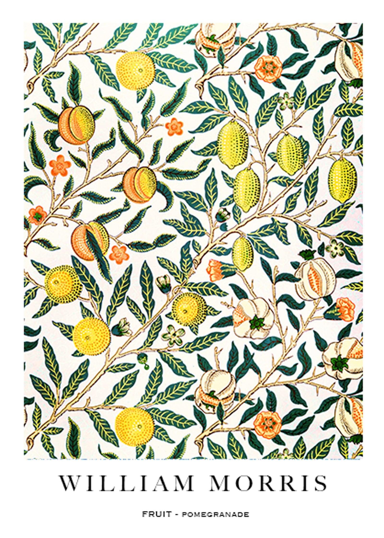 William Morris - Fruit - Pomegranate Poster - Hakyarts