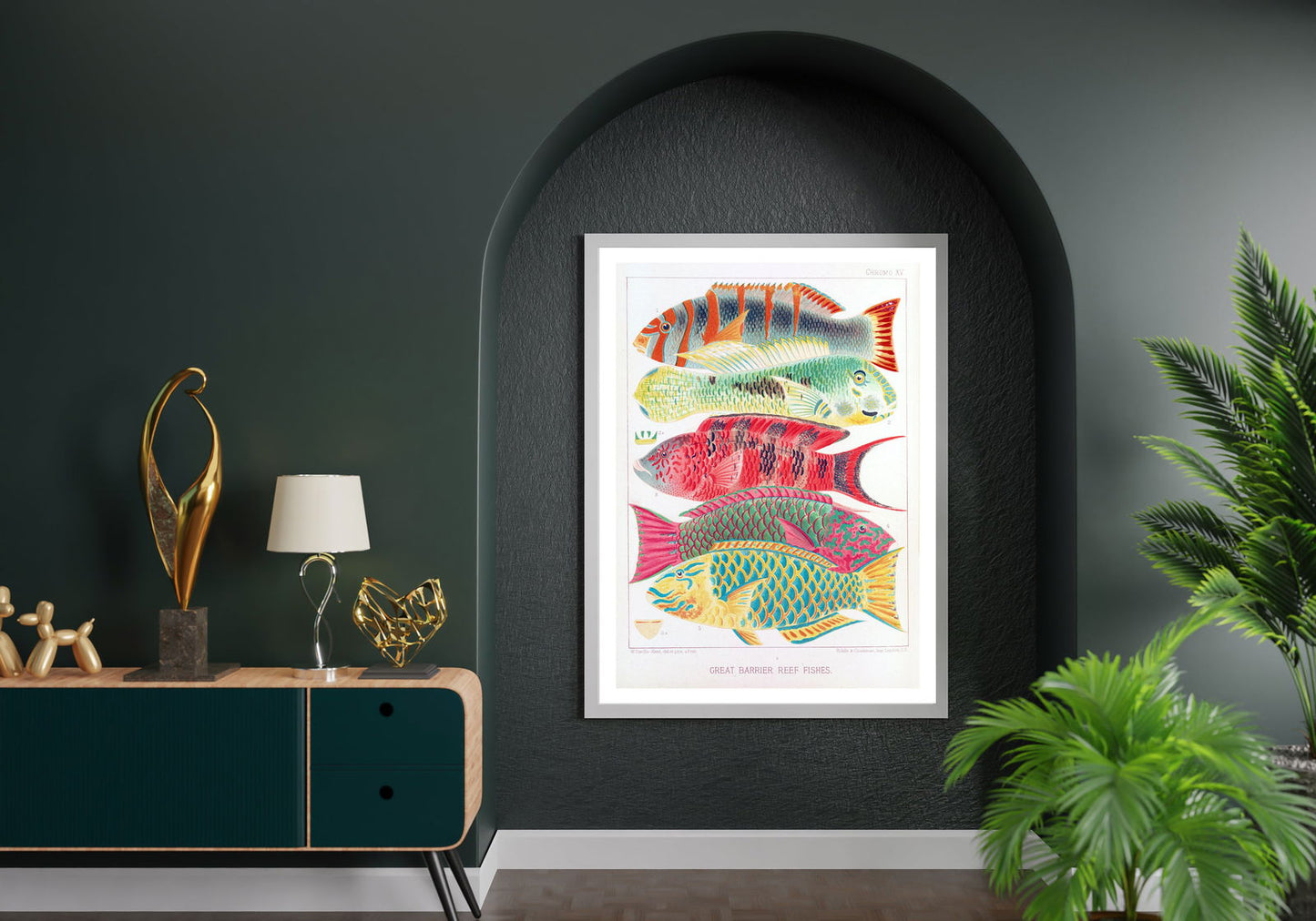 William Saville-Kent - Great Barrier Reef Fishes - Hakyarts