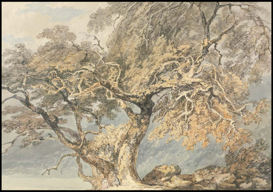 William Turner - A Great Tree - Hakyarts