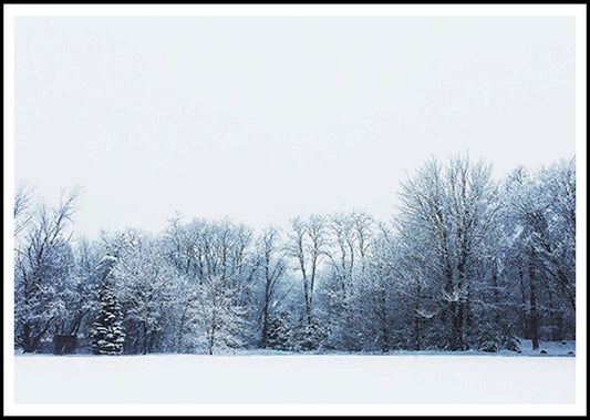 Winter Land Poster - Hakyarts