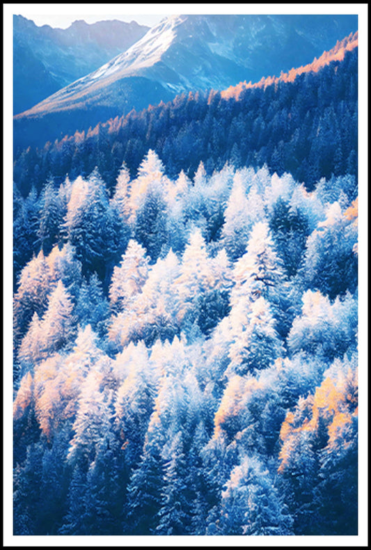 Winter Trees Poster - Hakyarts