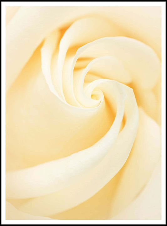 Yellow Rose Poster - Hakyarts