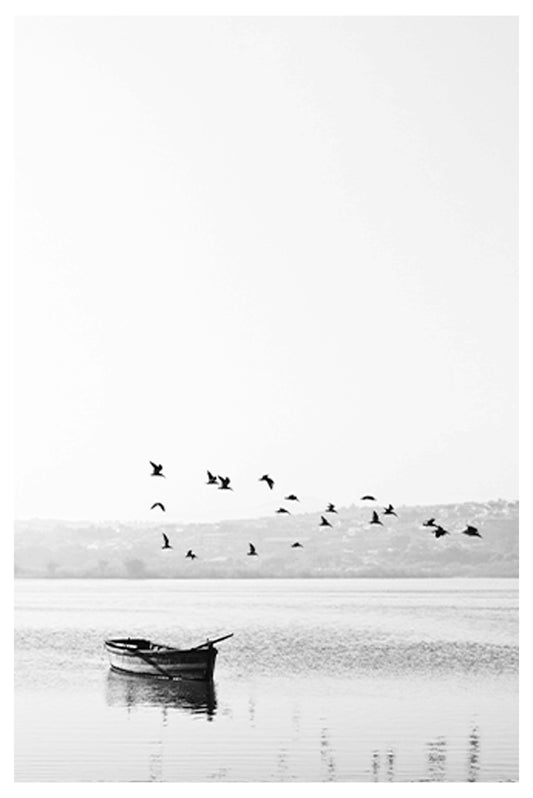 Flying Birds On A Lake Poster