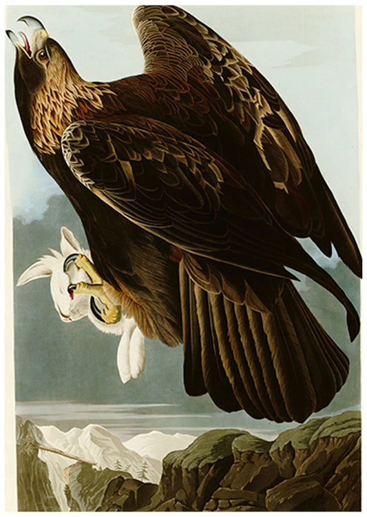 John James Audubon - Golden Eagle
