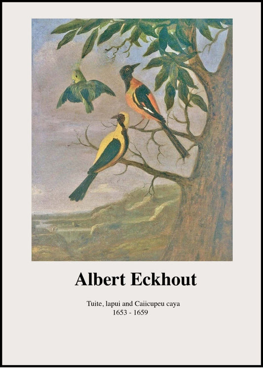 Albert Eckhout - Tuite, Iapui und Caiicupeu caya Poster