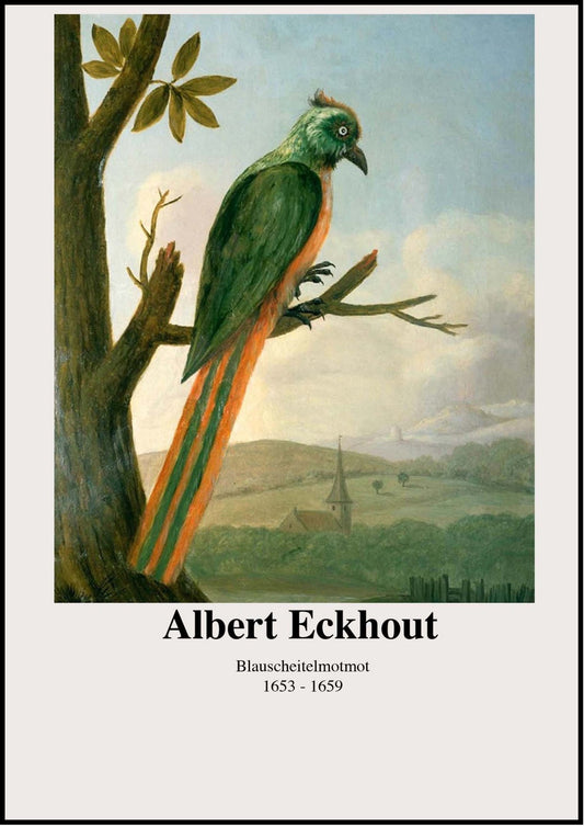 Albert Eckhout - Blauscheitelmotmot Poster